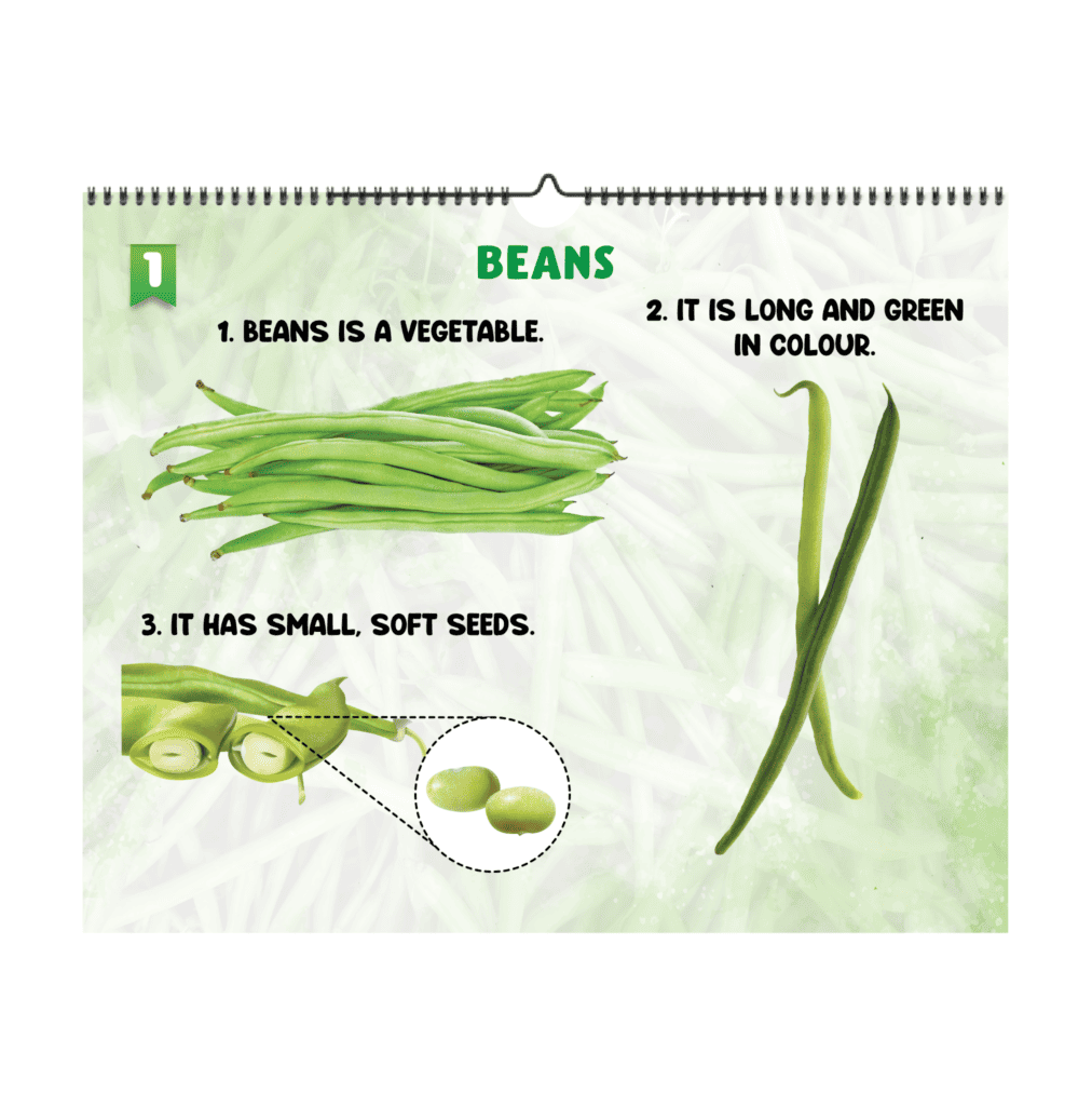 Flashcards - Vegetables 4 1 34