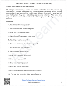 describing words passage worksheet