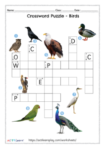 birds crossword puzzle download